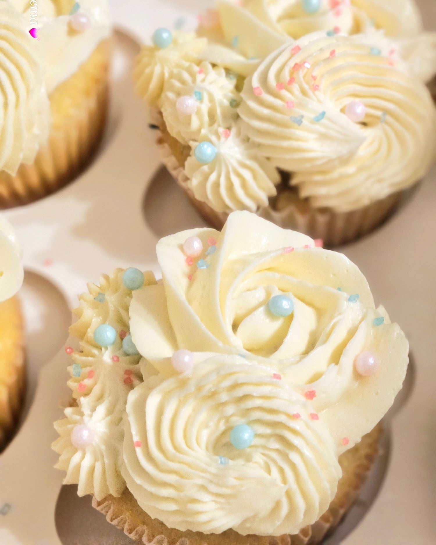 Cupcakes - CakeIt Fresh - cupcakes - 6pk -